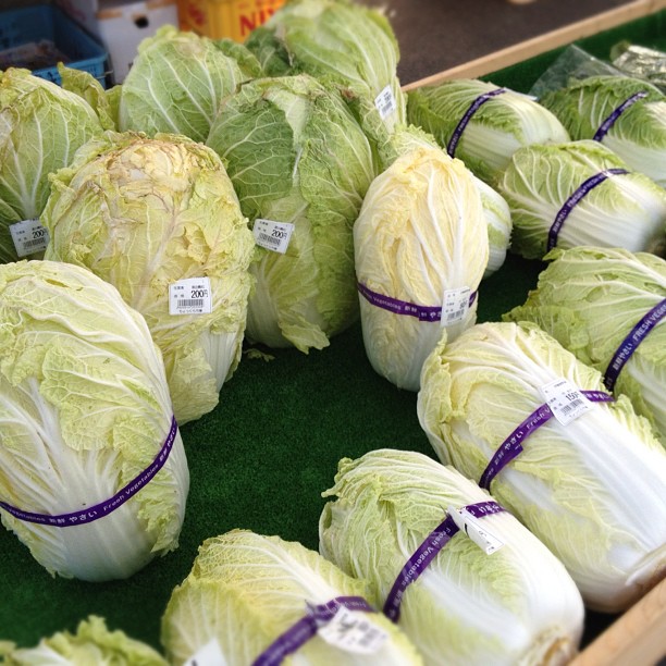 Chinese Cabbage